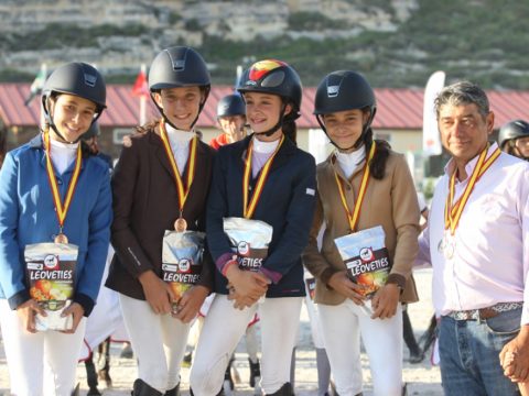 bronce ponis B salto