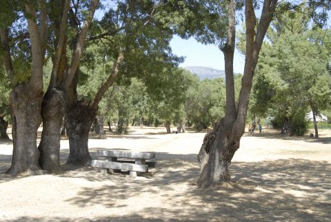 Turismo-SotodelReal-ParquedelRío