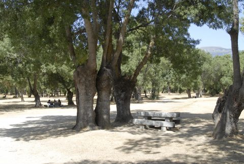 Turismo-SotodelReal-ParquedelRío
