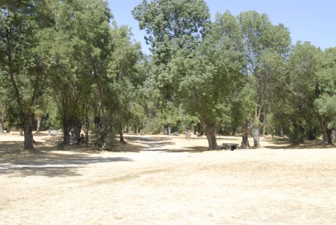Turismo-SotodelReal-ParquedelRío