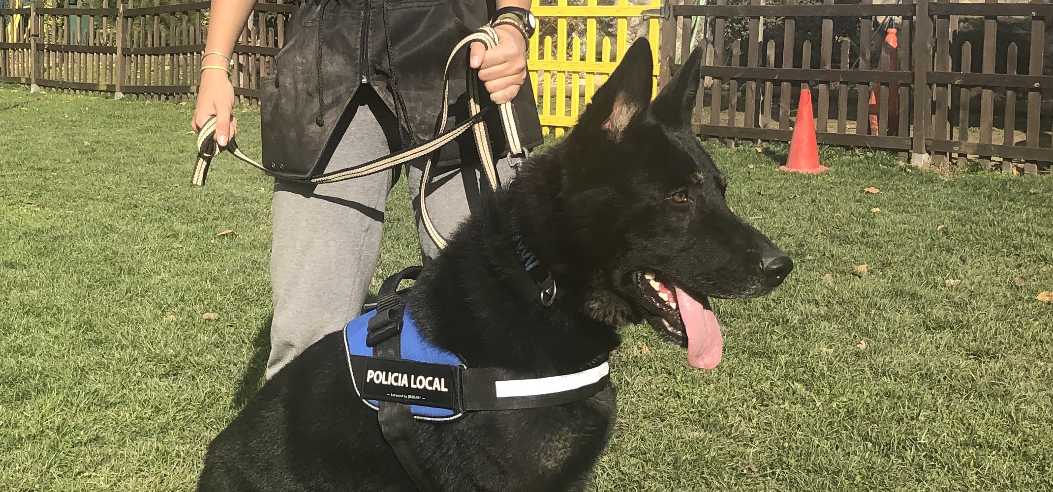Rocco, el primer perro antidroga de Soto del Real
