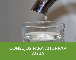 Consejos para ahorrar agua