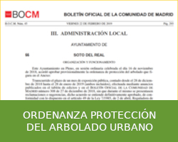Ordenanza protección del arbolado urbano