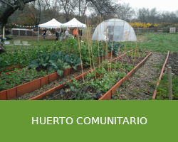 Huerto comunitario