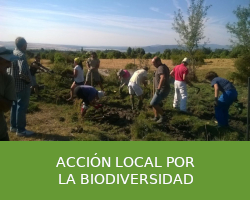 Acción local por la biodiversidad