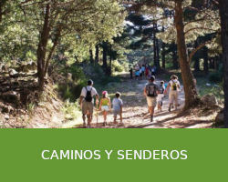 Caminos y senderos
